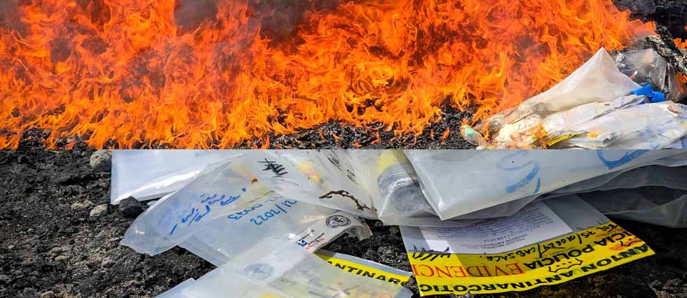 FGR destruye droga valorada en ¡casi 100 mil dólares!