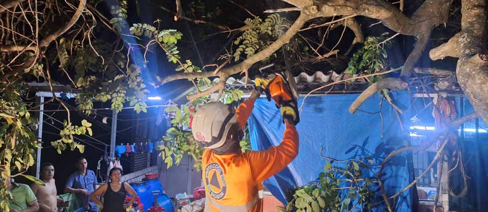 Remueven árbol que cayó sobre una vivienda en Ciudad Delgado
