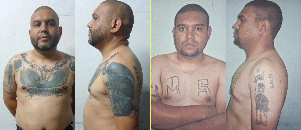 Capturan a palabrero de la MS-13 que ocultó sus tatuajes para evitar la cárcel