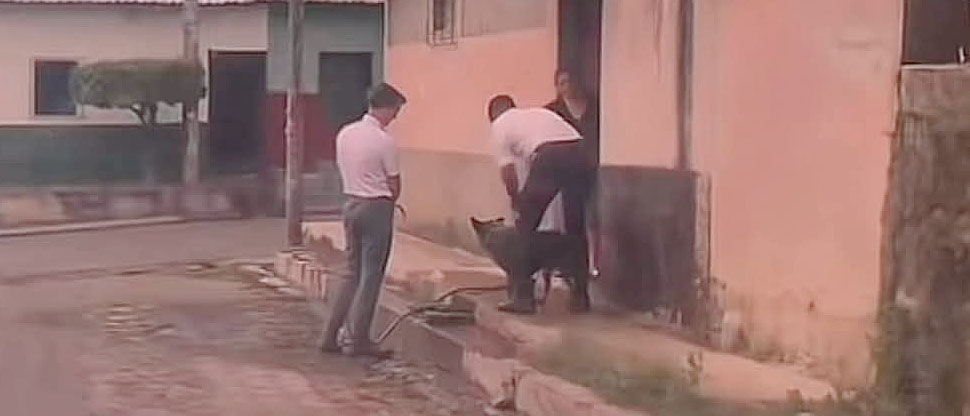 Mormones predican a mujer y aprovechan para bañar a su perrito