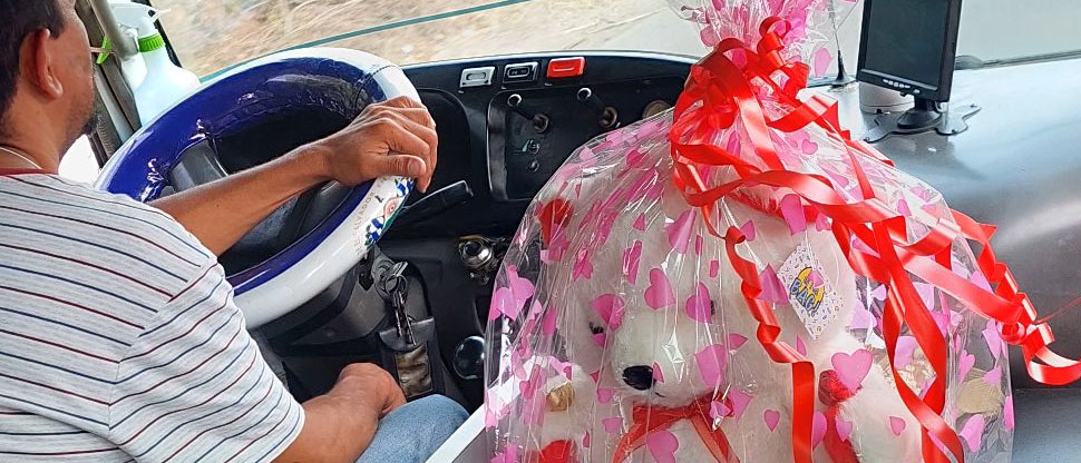 ¡Viva el amor! Captan a motorista de microbús de la ruta 109 llevando regalo a su amada