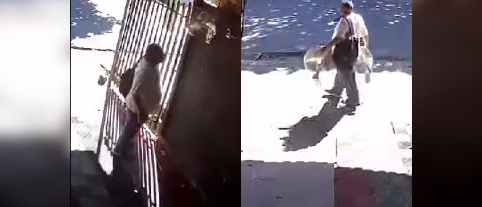 Creyó ser astuto al hurtar ventiladores en un negocio, sin imaginar que cámaras lo grabarían