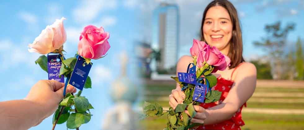 Alcaldía de San Salvador entrega cientos de rosas este día de San Valentín