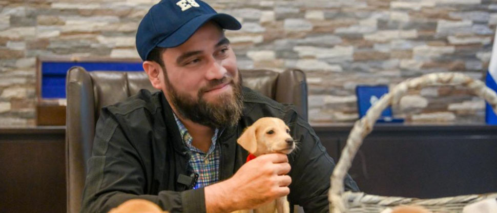 Alcaldía realizará jornada de adopción de perritos