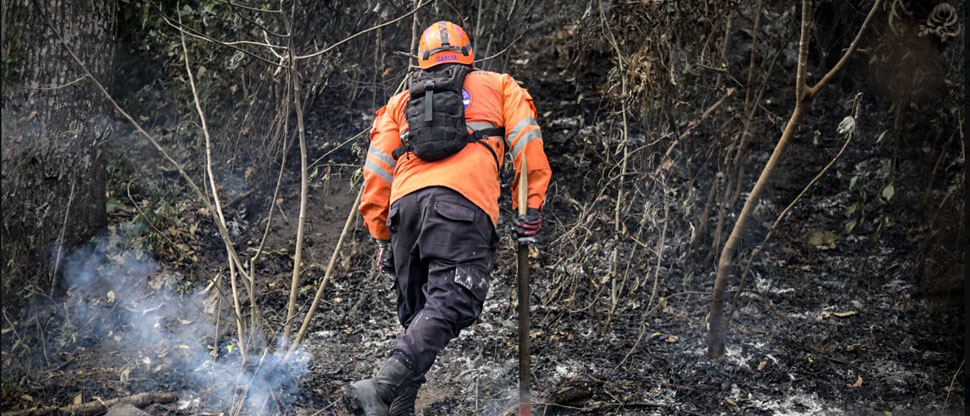Bomberos sofoca incendio ocurrido en terreno baldío en San Salvador
