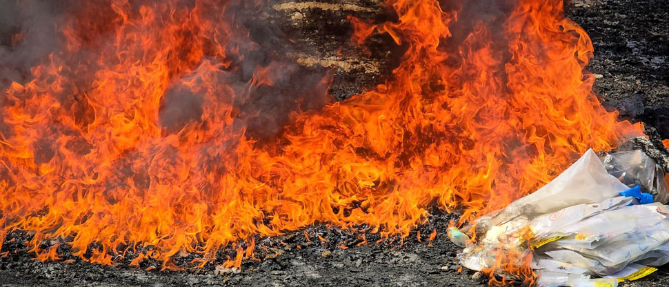 FGR y PNC destruyen droga incautada en Santa Ana