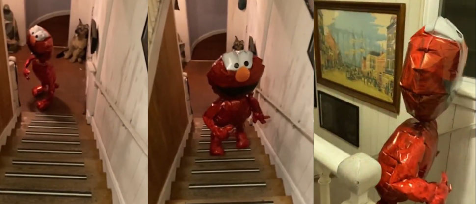 Globo con la figura de “Elmo” cobra vida y es grabado por una mujer