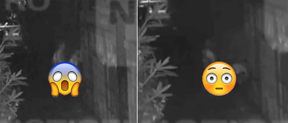 VIDEO: Denuncian a pareja captada teniendo intimidad en pleno pasaje de popular colonia