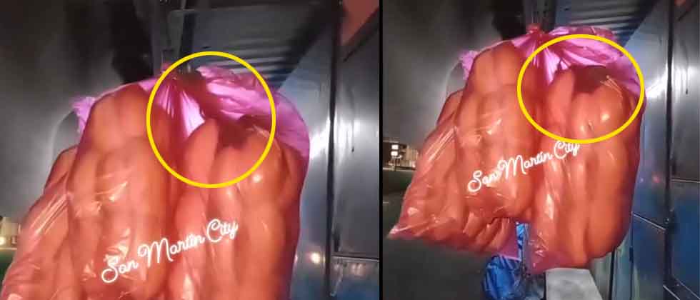 Captan ratones en bolsa de pan francés de comedores de Soyapango