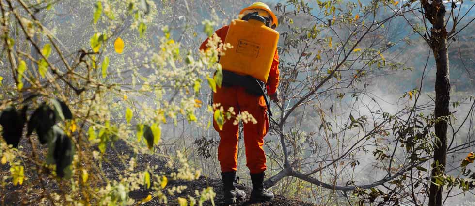 Utilizan equipo manual para sofocar incendio en terreno de difícil acceso en San Salvador