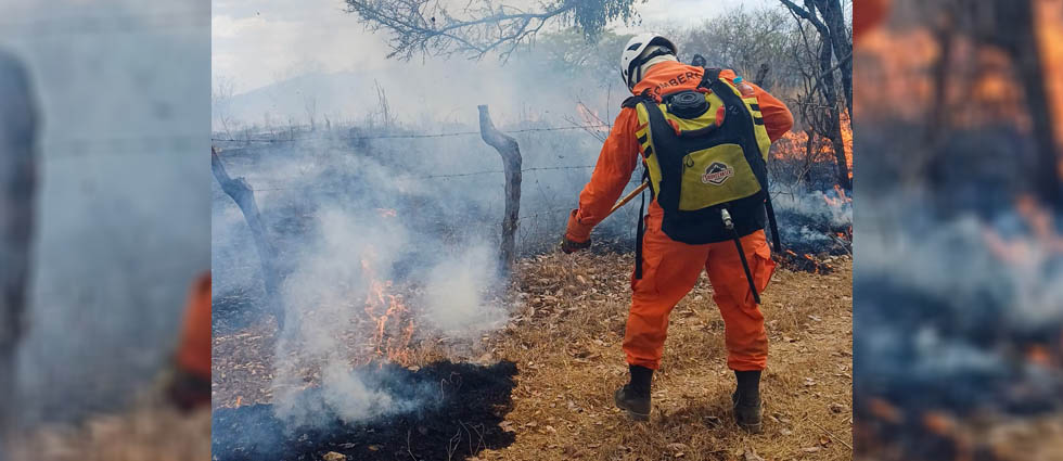 CBES sofoca extenso incendio con mochilas extintoras en Santa Ana
