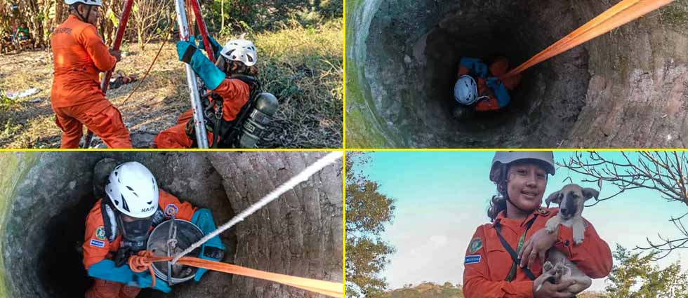 Rescatan a perrito que cayó a pozo de ¡15 metros de profundidad!