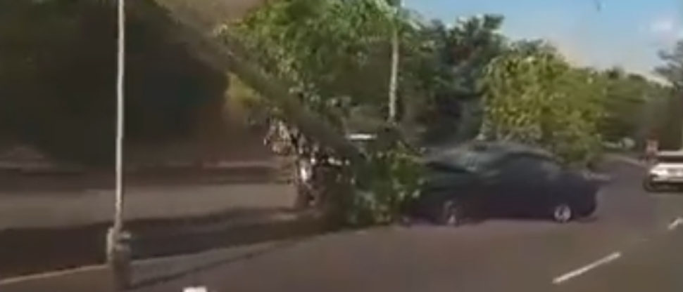 Carro derriba poste tras fuerte choque en la prolongación de la avenida Masferrer