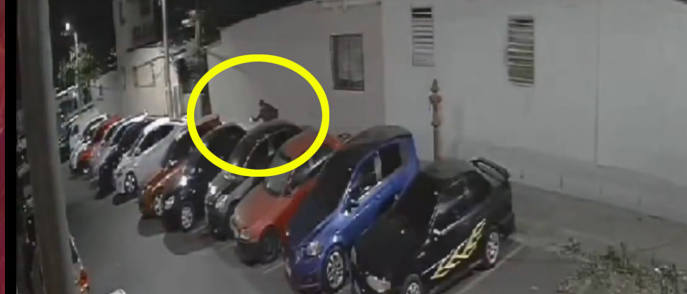 Denuncian a ladrón captado “abriendo carros” en Jardines de Santa Lucía, distrito de Ilopango