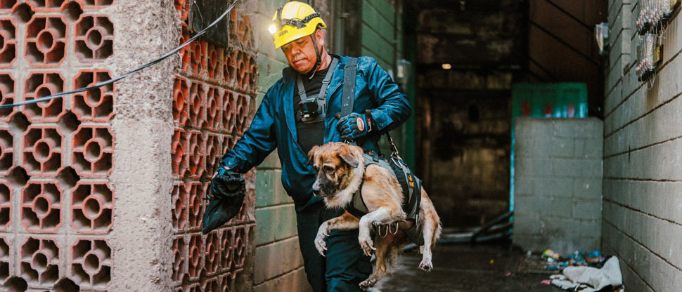 Rescatan a mascotas en incendio en condominios Regis cerca de la explaza El Trovador