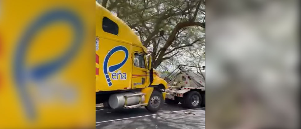 Vaca fallece tras ser atropellada por tráiler en San Vicente 