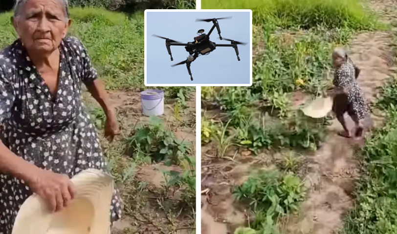 Tremendo susto: así reaccionó una abuelita al ver un dron por primera vez