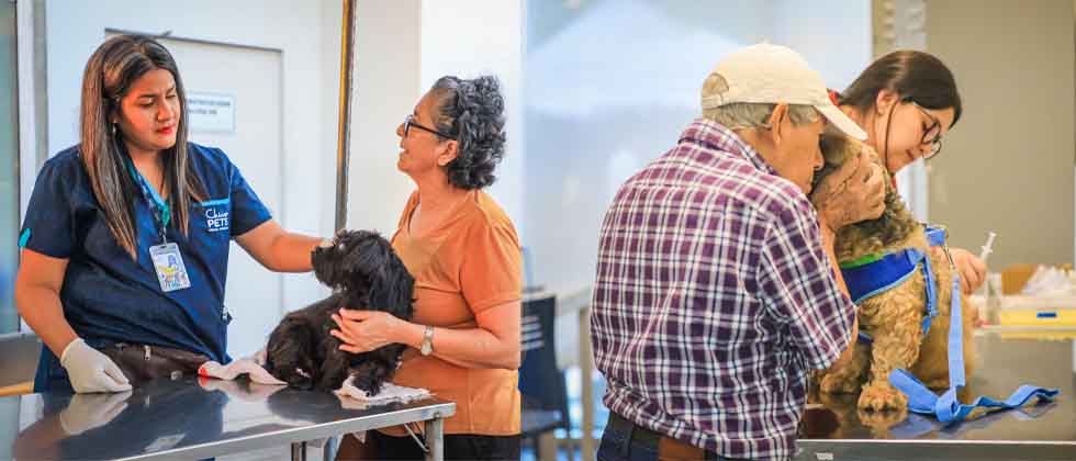 Hospital Chivo Pets supera los 4.5 millones de servicios a mascotas de familias salvadoreñas