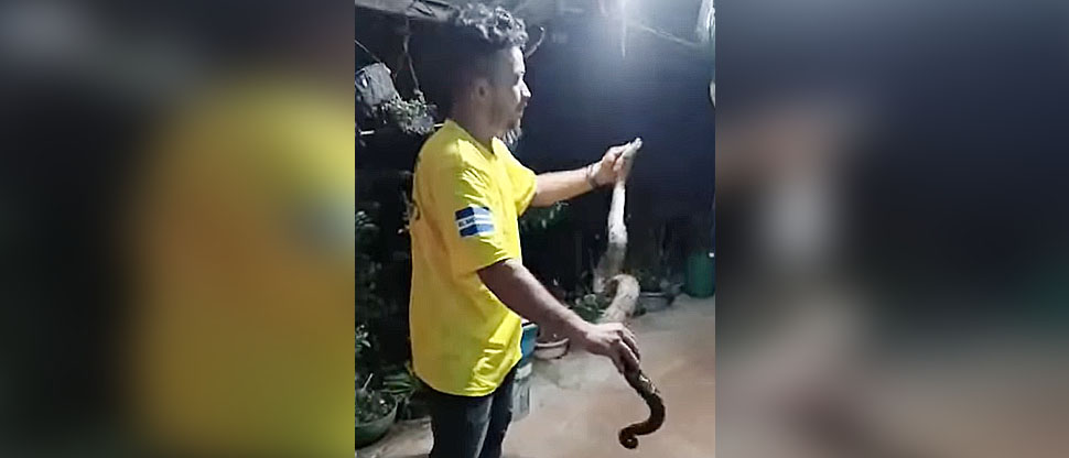 Familia se lleva tremendo susto al encontrar una culebra dentro de su vivienda