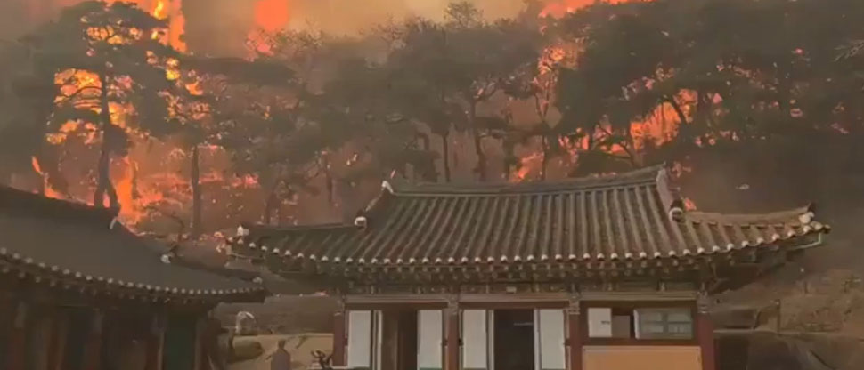 Seis personas fallecidas y decena de heridos en incendio forestal en Corea del Sur