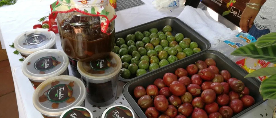 Próximo domingo se llevará a cabo el festival del jocote barón rojo en Ahuachapán