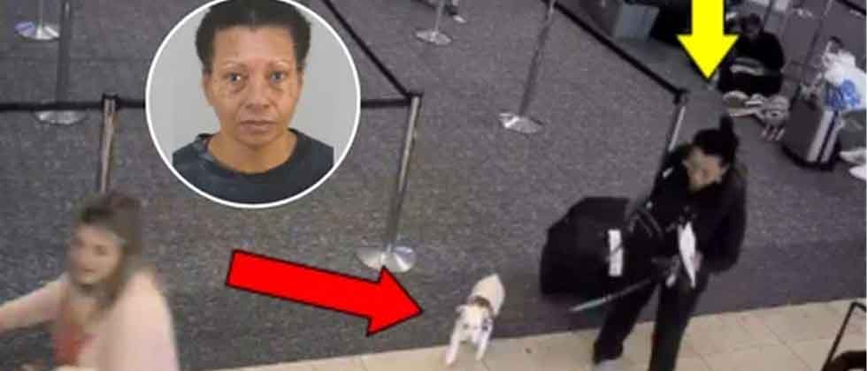 EUA: Mujer ahoga a su perrito en aeropuerto para poder abordar un avión
