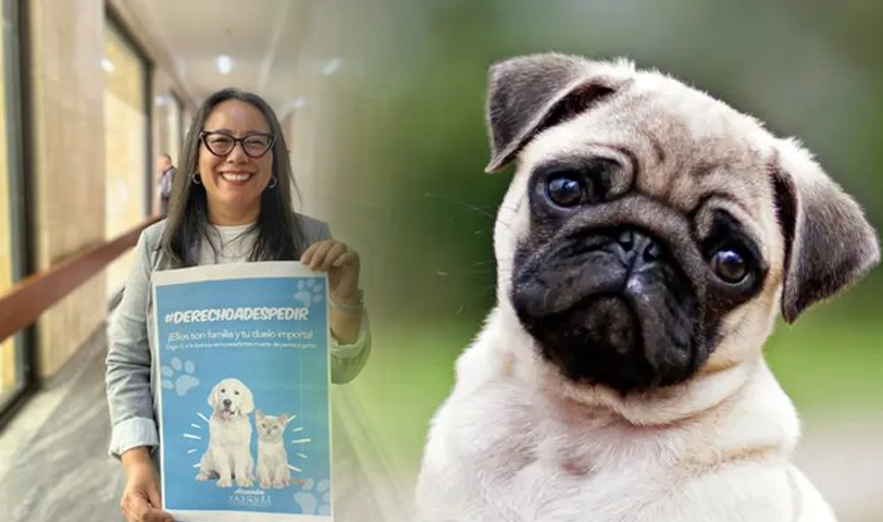 Colombia: proponen otorgar día de licencia ante la perdida de una mascota