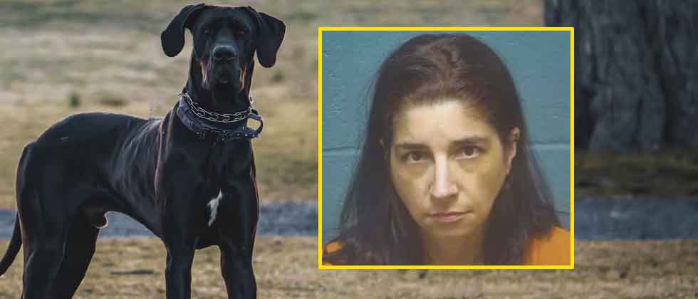 EUA: Mujer es arrestada por abusar de su perro gran danés