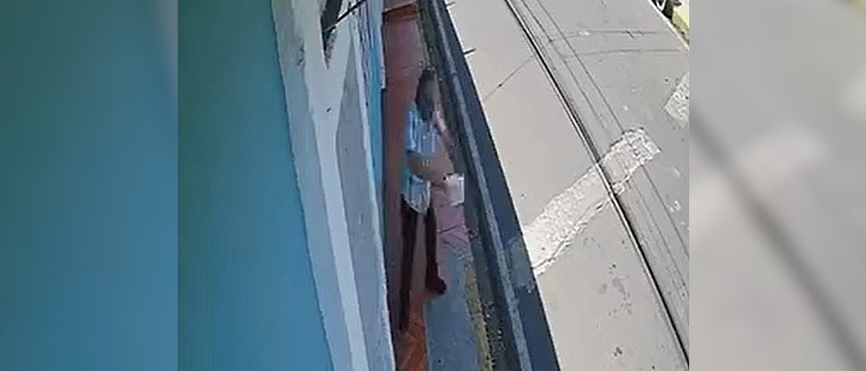 Sujeto descontento con los perritos de la calle tira recipiente con agua puesto por una familia