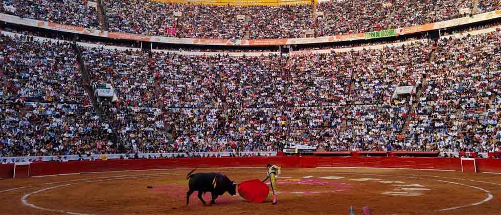 Ciudad de México prohíbe las corridas de toros tradicionales: Queda prohibido herir y matar al toro