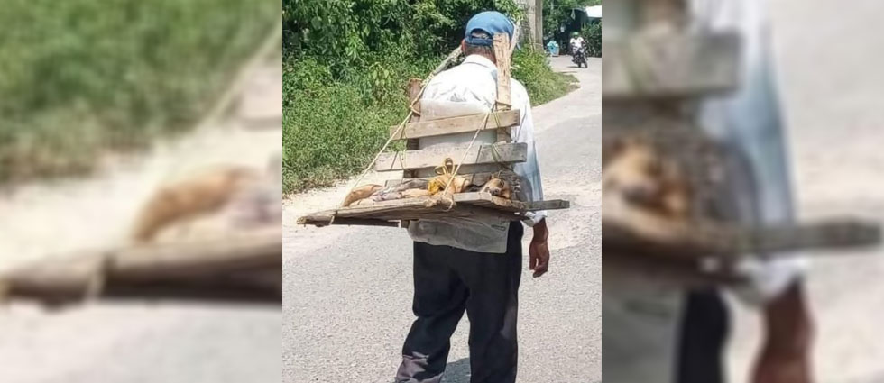 Se viraliza imagen de anciano cargando a su perrito fallecido