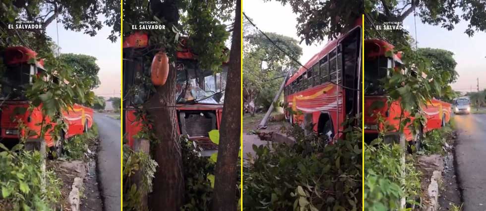 Autobús de la Ruta 133 colisiona contra un poste y un árbol en San Jacinto