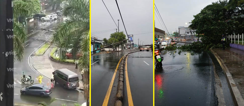 Reportan postes caídos sobre la 49 avenida Sur, la alameda Juan Pablo II y en las cercanías del Árbol de Paz