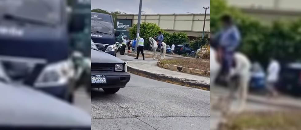 Captan a hombre circulando en caballo en pleno tráfico urbano