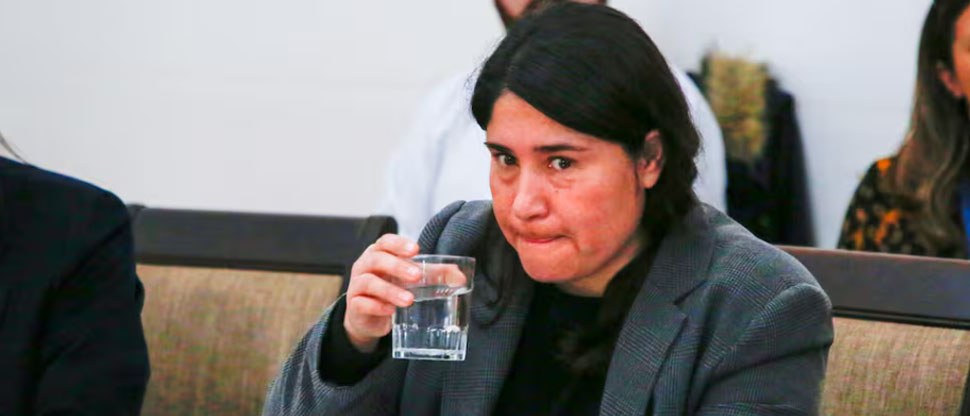 CHILE: renuncia jefa del programa “Estadio Seguro” tras la muerte de dos aficionados