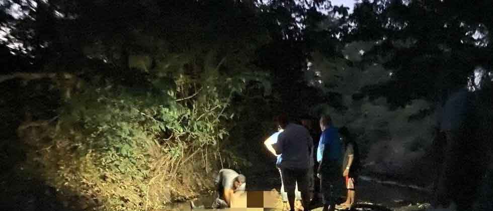 Hombre pierde la vida tras ser atacado por un enjambre de abejas en La Paz
