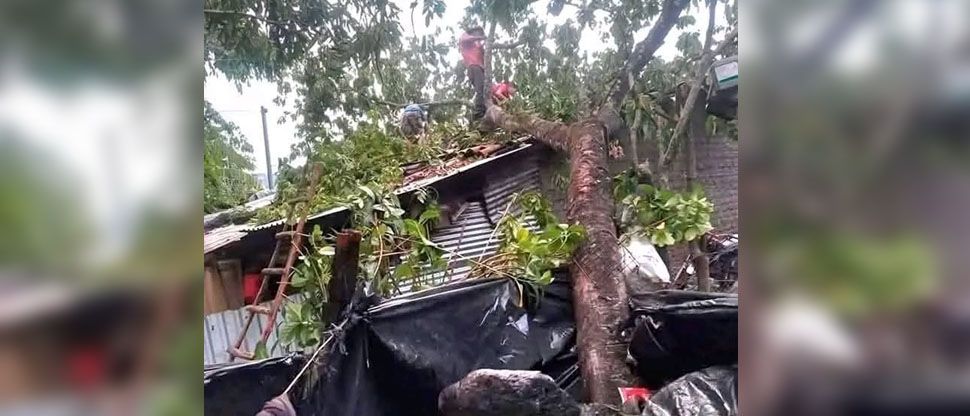 Lluvias provocan caía de árbol sobre una vivienda en Ciudad Barrios, San Miguel
