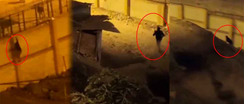 «¡Aleluya, Cristo vive!»: el festejo de un preso al fugarse de una cárcel en Perú