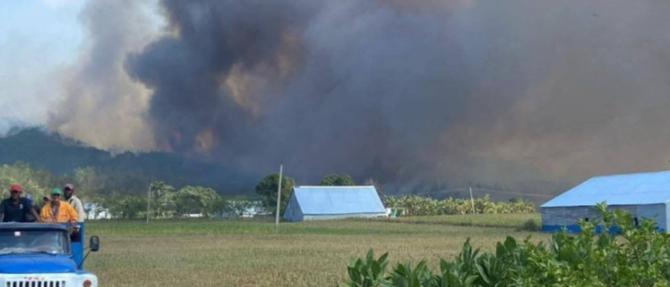 Incendio forestal consume más de 1,900 hectáreas de bosques en Cuba