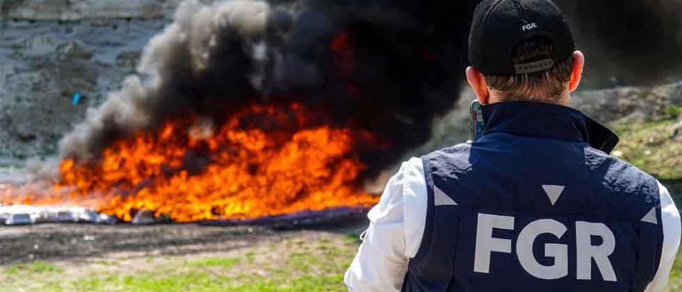 Destruyen droga valorada en más de $32 millones