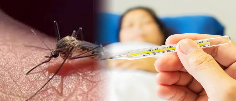 Colombia: Declaran estado de emergencia por brote de fiebre amarilla