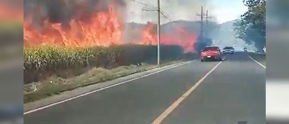 Fuerte incendio en cañal pone en riesgo a conductores sobre carretera Troncal del Norte