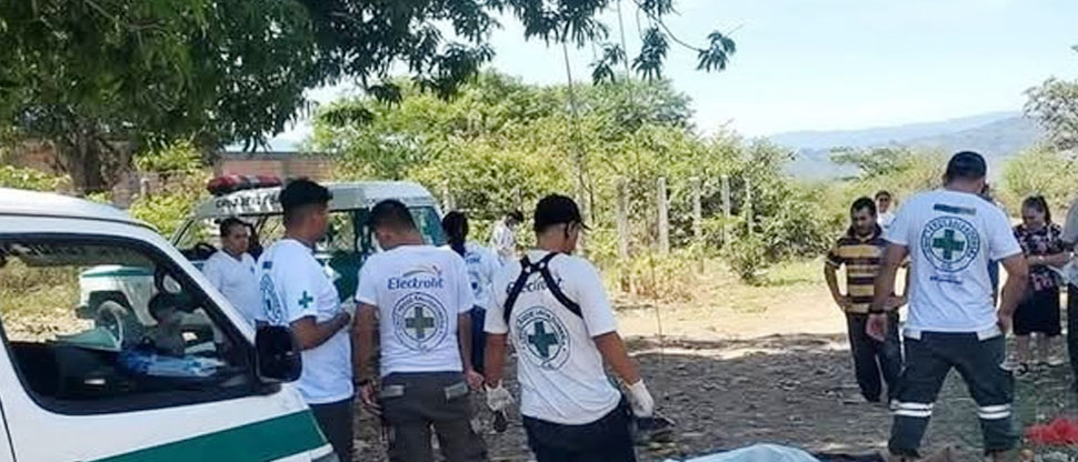 Hombre fallece tras caer de un árbol en La Libertad