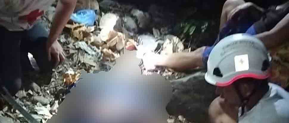 Rescatan a ancianito tras ser atacado por abejas en Usulután