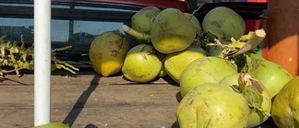 Vendedor de coco se lesiona cuando atendía cliente en Santa Ana