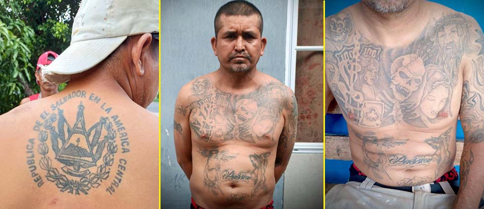 FAES ubica a peligroso homeboy de la MS-13 que se escondía en el Distrito Italia