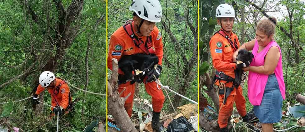 Bomberos descienden a quebrada de unos 40 metros para rescatar a una perrita