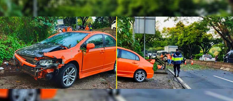 Árbol cae sobre vehículo cuando iba en plena marcha en Santa Ana
