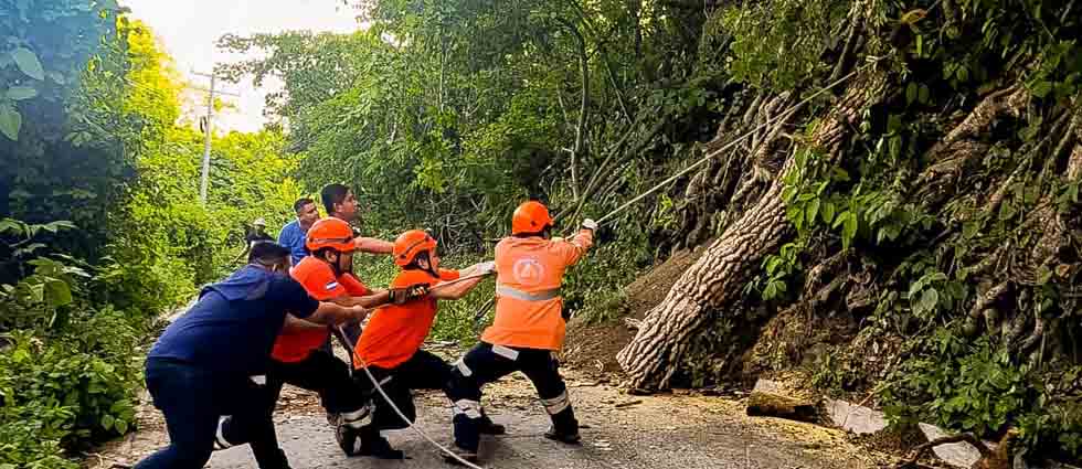 Remueven árbol que obstruía el paso vehicular en Apastepeque
