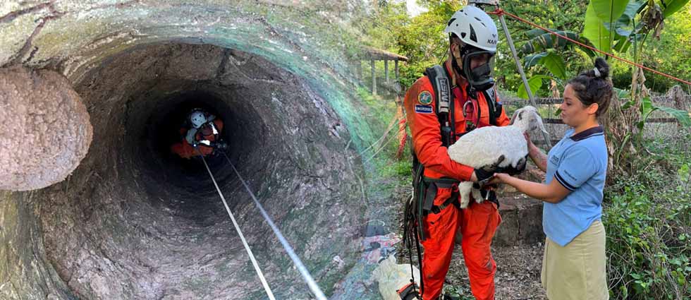 Rescatan a cabrita tras caer en un pozo de 15 metros de profundidad en Morazán